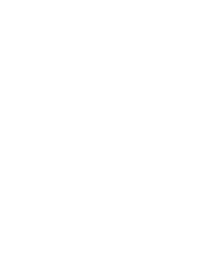 Arrow Guitars